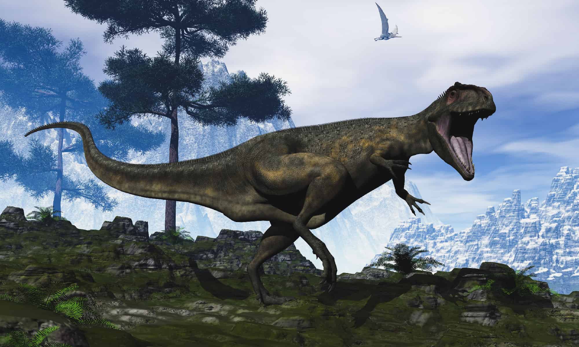 Quanto Era Grande Il Giganotosaurus Era Un T Rex Killer