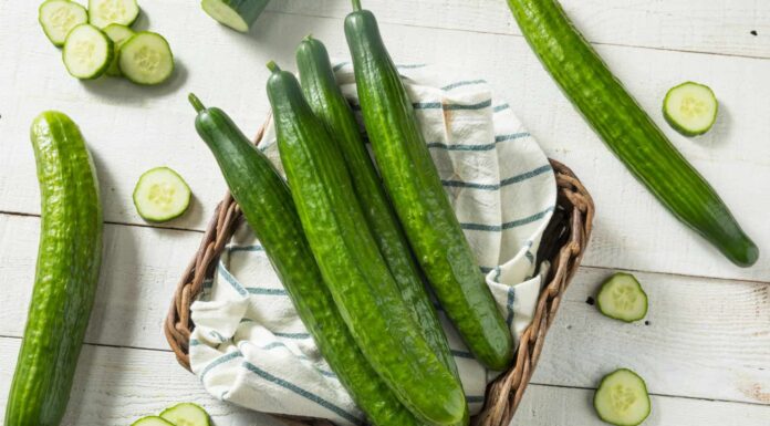  Il cetriolo è un frutto o una verdura?  Che ne dici di sottaceti?  Ecco perché
