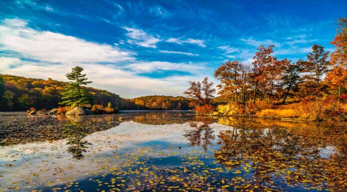Camas National Wildlife Refuge