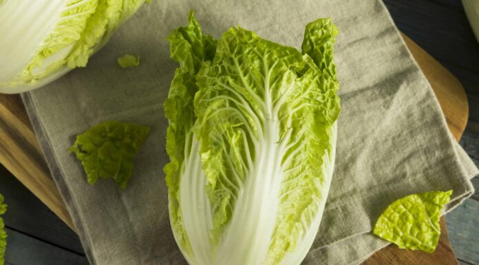 Napa Cabbage vs Bok Choy: quali sono le differenze?
