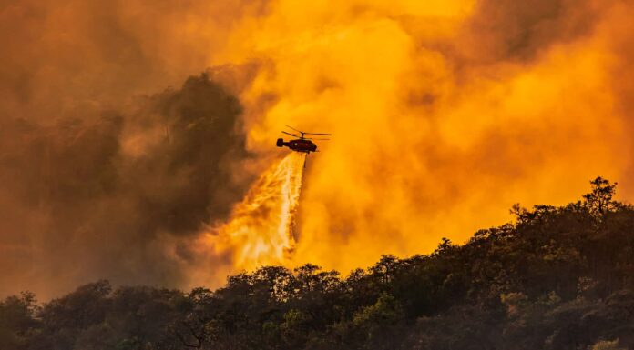 Forest Fire, California, 2020, Fire - Natural Phenomenon, Smoke - Physical Structure