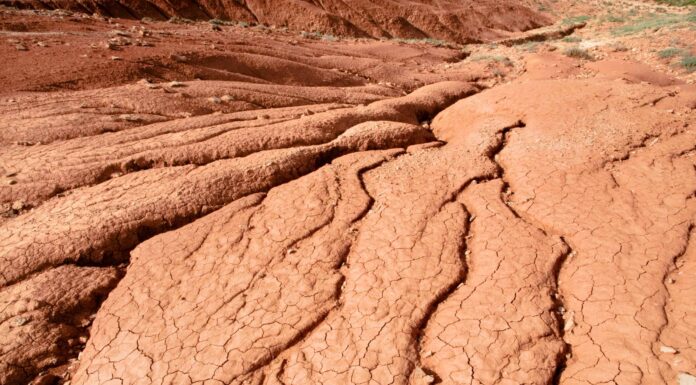 Periodo Permiano: fatti, informazioni e cronologia
