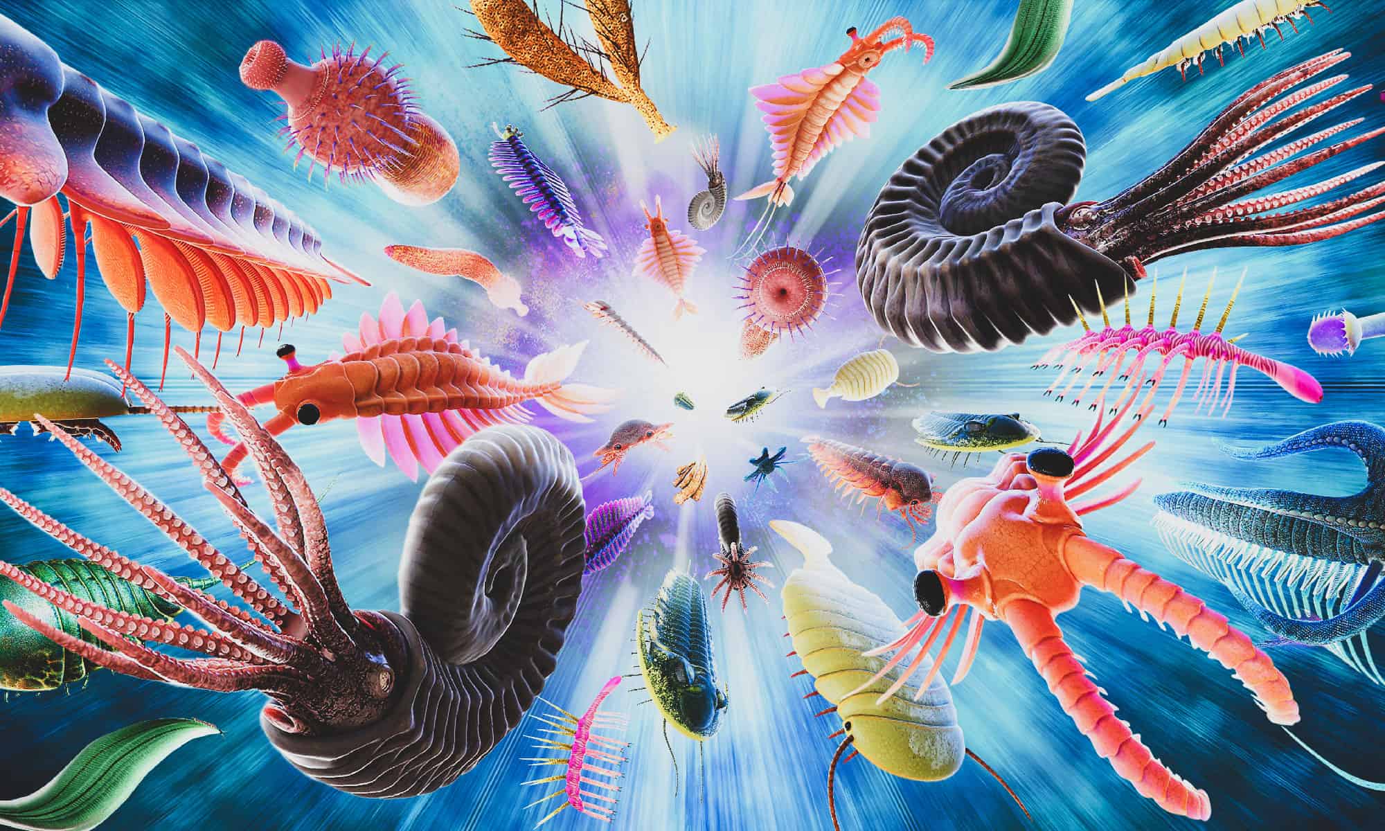 Cambrian, Exploding, Ancient, Paleozoic Era, Sea