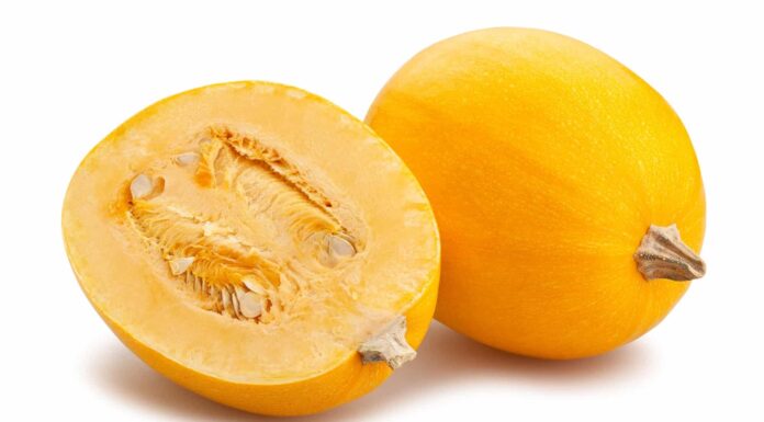 I vantaggi e i pericoli del tuo cane che mangia la zucca
