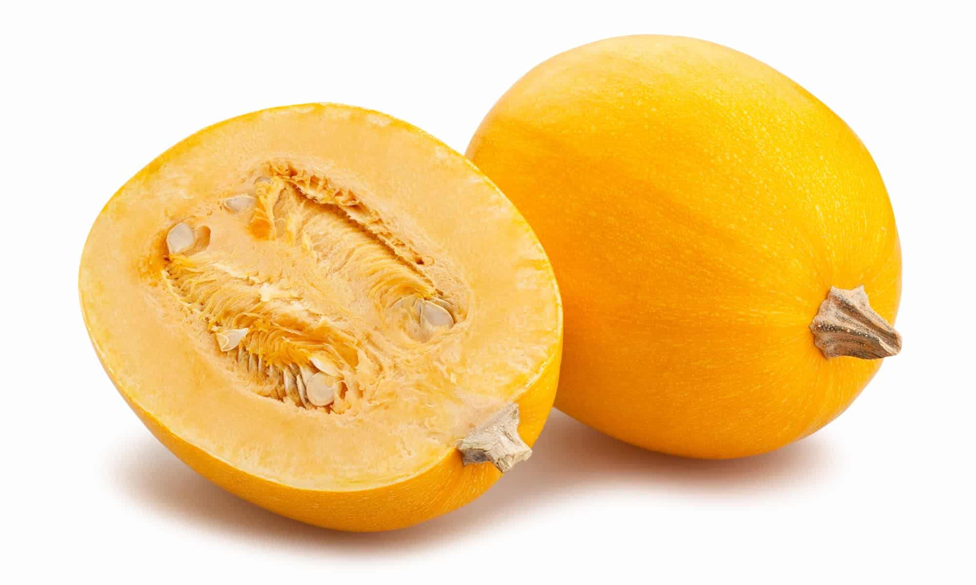 I vantaggi e i pericoli del tuo cane che mangia la zucca