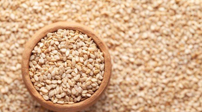  I cani possono mangiare semi di sesamo?  Leggi questo prima
