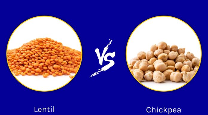 Lenticchie vs ceci: quali sono le loro differenze?
