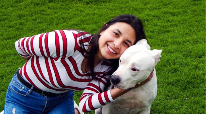  Perché il mio cane si appoggia a me?  Cosa sta cercando di dire?
