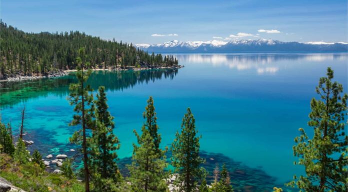 Il miglior campeggio in assoluto vicino a Reno
