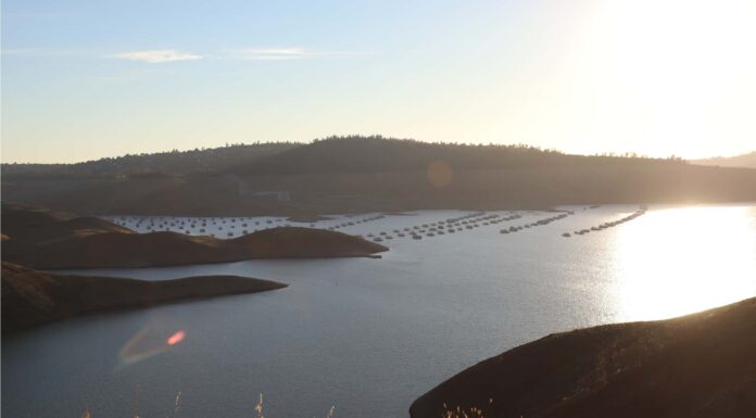 A The 9 Best Books About National Parks for Travelers