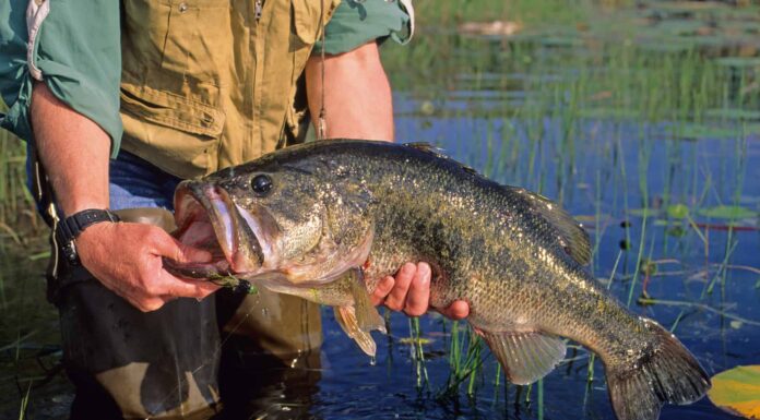 Il miglior campeggio in assoluto vicino a Cincinnati
