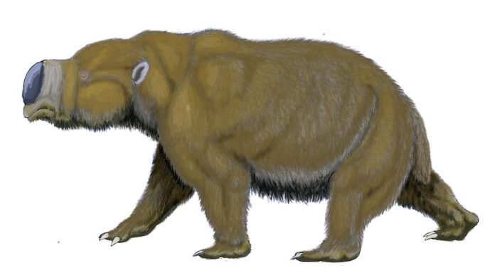 Diprotodon