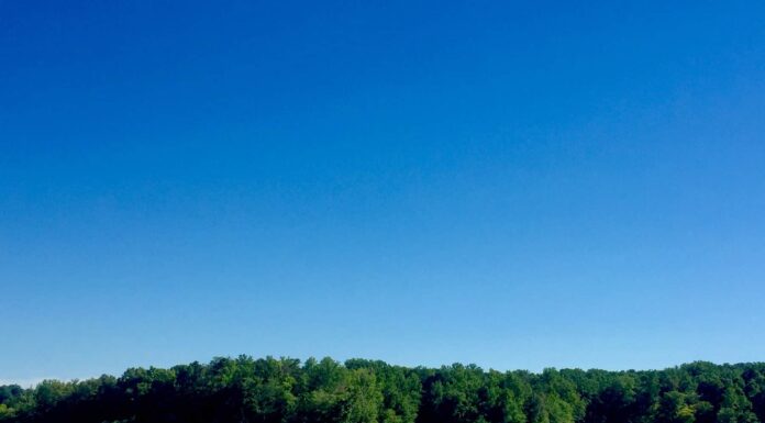 I 10 migliori luoghi di pesca in Virginia quest'estate
