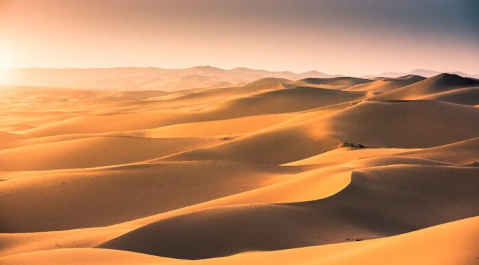 Il deserto del Gobi

