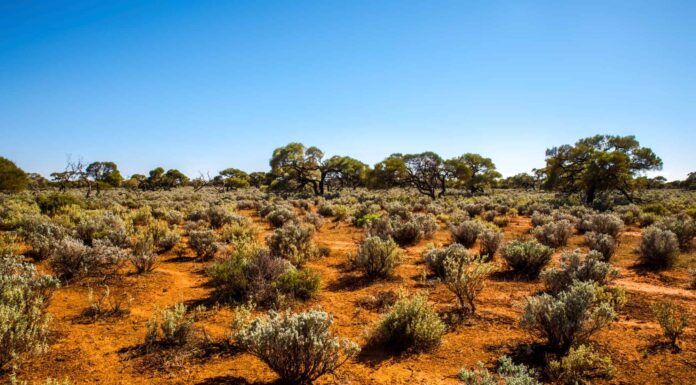 The Great Australian Desert