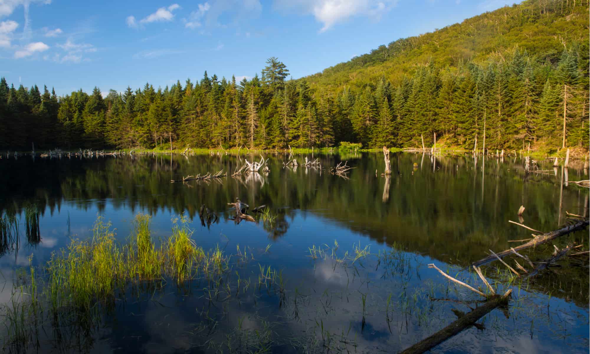 I 5 posti migliori dove campeggiare nel Vermont quest'estate