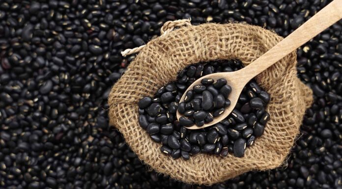  Sì!  Il tuo cane può mangiare fagioli neri.  Ecco perché
