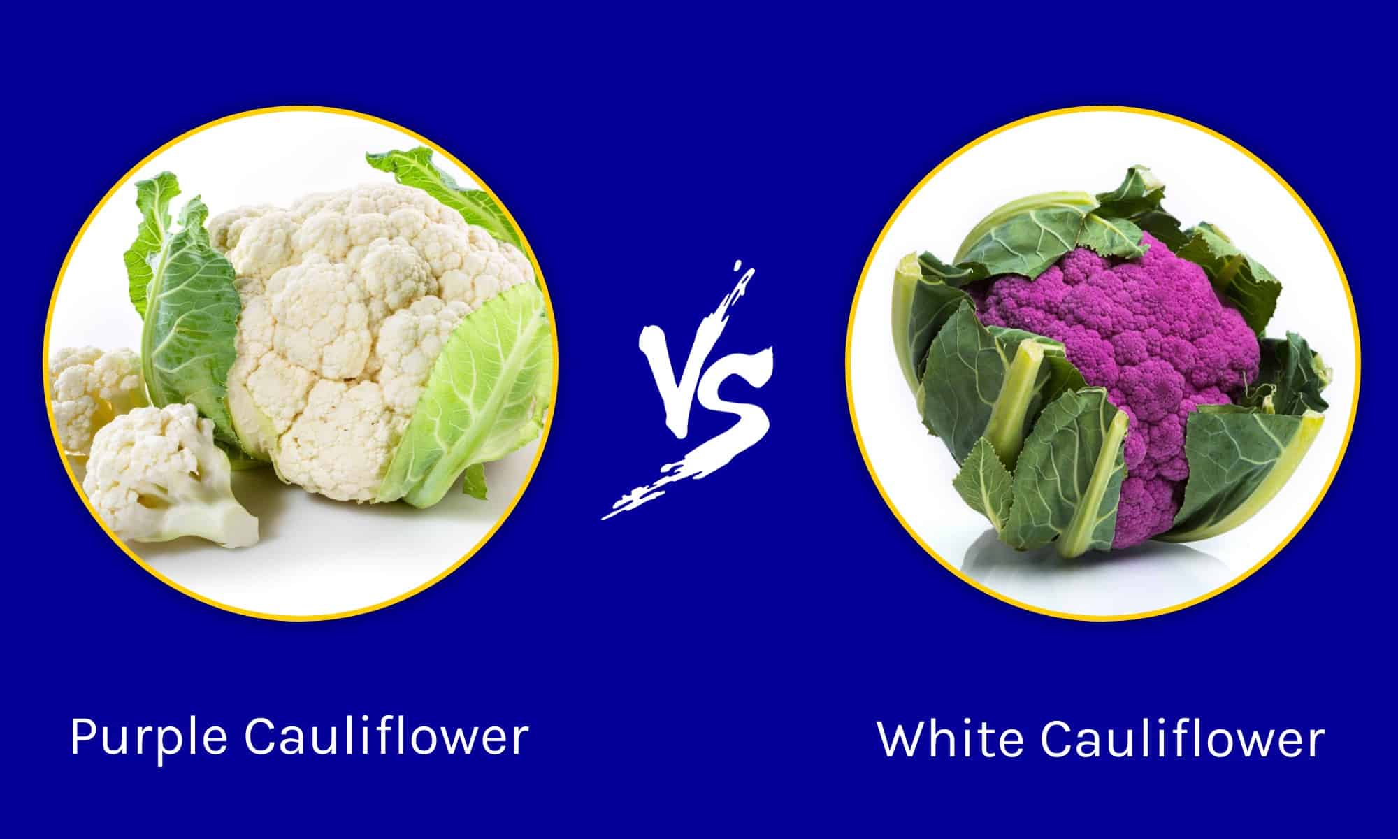 Cavolfiore viola vs cavolfiore bianco: quanto sono diversi?