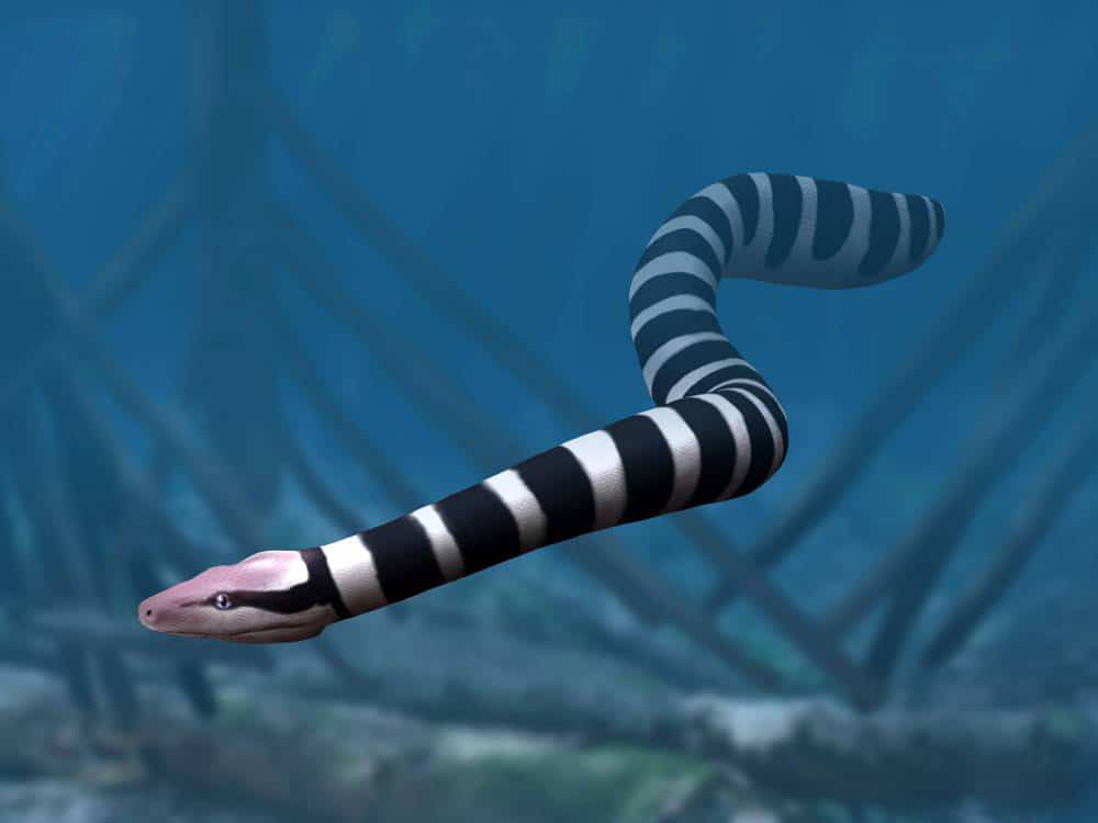 Cosa rende i serpenti marini così letali?