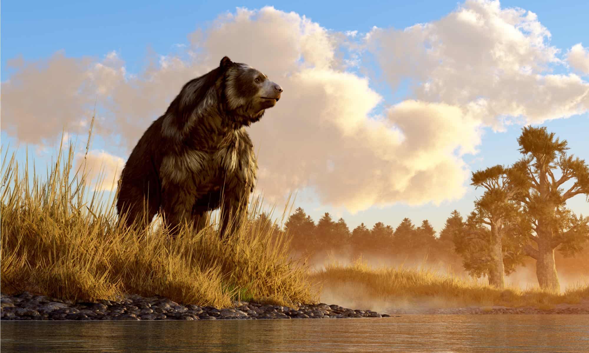 3D illustration of Cave Bear Ursus Spelaeus