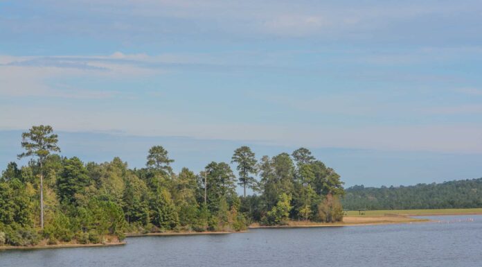 Scopri il lago più profondo del Mississippi
