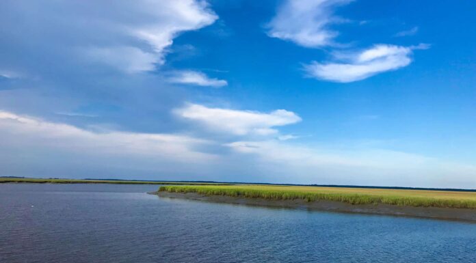 Fiumi in Georgia che dovresti conoscere
