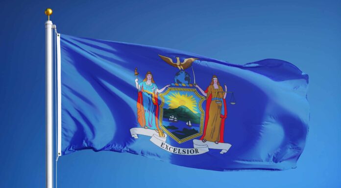 Gli 11 migliori posti per il birdwatching di New York quest'estate
