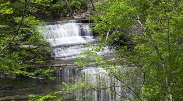 indiana dunes national park