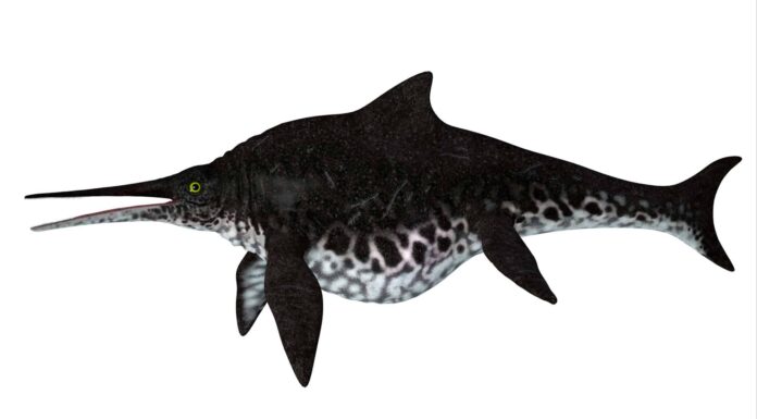 Il più grande dinosauro acquatico della storia
