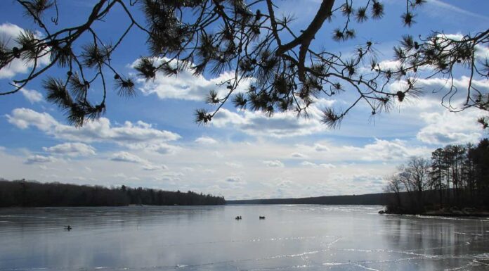 The 5 Best Places to Camp in Rhode Island this Summer