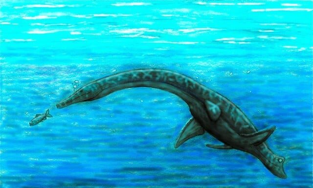 Illustration of Serpentisuchops chasing a fish under water