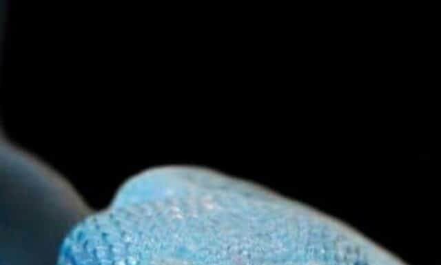 Queste affascinanti foto di serpenti ti lasceranno a bocca aperta!
