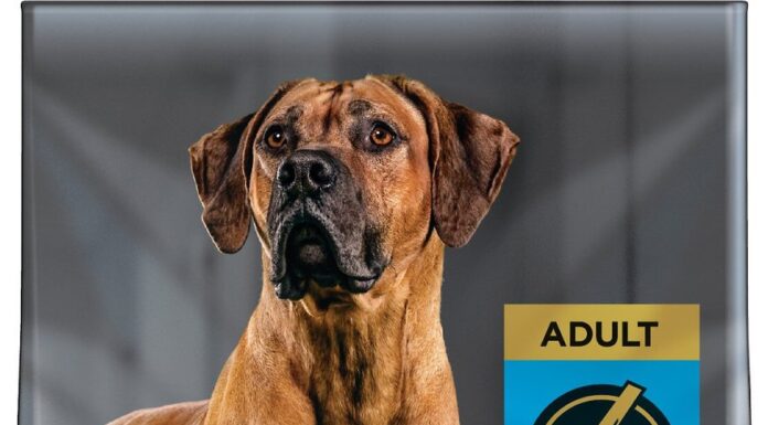 Purina Pro Plan Adult Large Breed Blend Pollo & Riso Formula