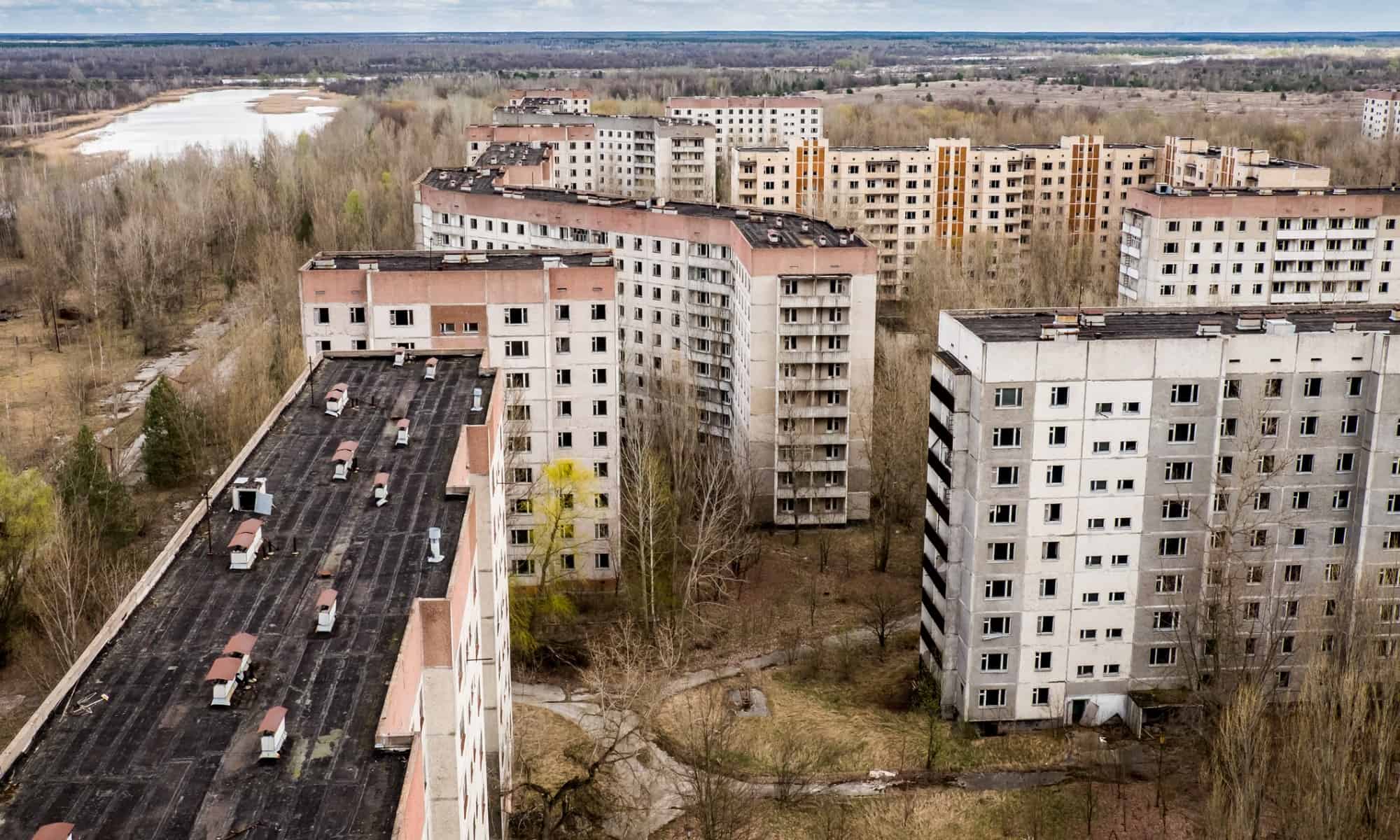 Ci sono animali a Chernobyl?