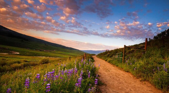 La pista ciclabile più lunga del Colorado

