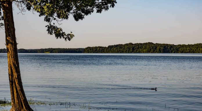 Il miglior campeggio in assoluto vicino a Nashville
