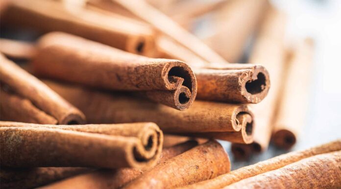 Cassia vs Ceylon Cinnamon