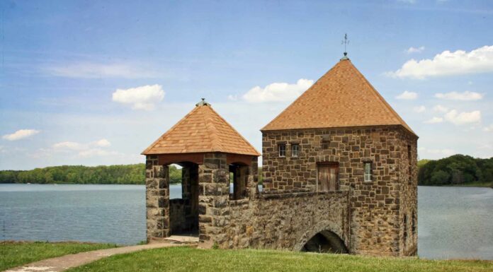 I 5 migliori luoghi per il birdwatching della Pennsylvania quest'estate
