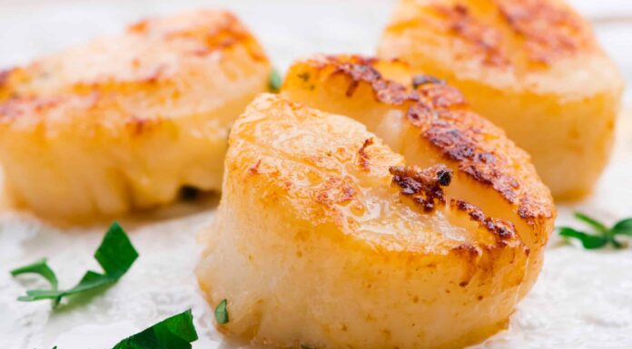 I cani possono mangiare capesante o sono mortali?
