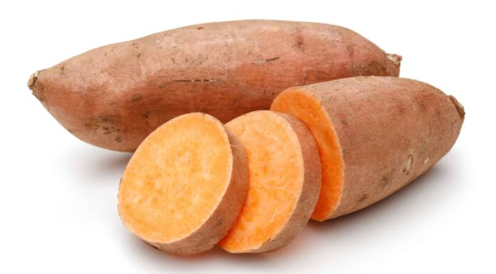  Il giardiniere innovativo trasforma 1 vecchia patata dolce in oltre 100 libbre di patate dolci.  Ecco come!
