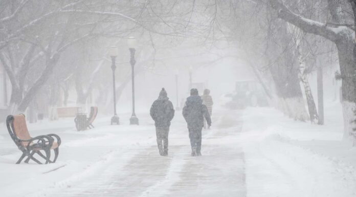 Cos'è un vortice polare?

