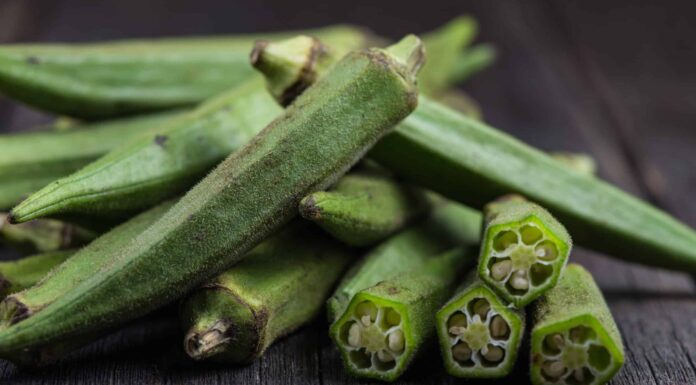  I cani possono mangiare il gombo?  Quali sono i vantaggi?
