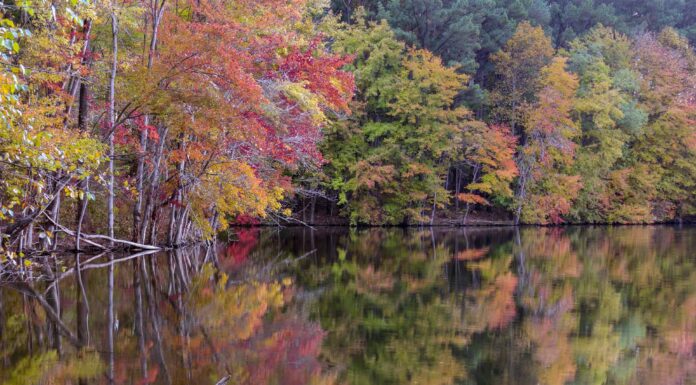 Liberty Reservoir Maryland