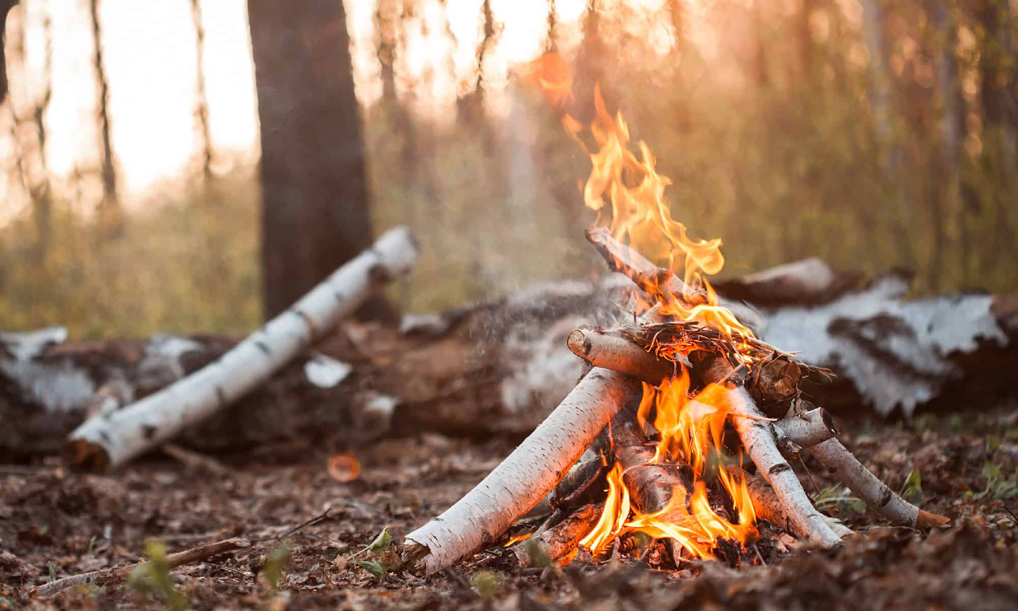 I 5 posti migliori per accamparsi in West Virginia quest'estate