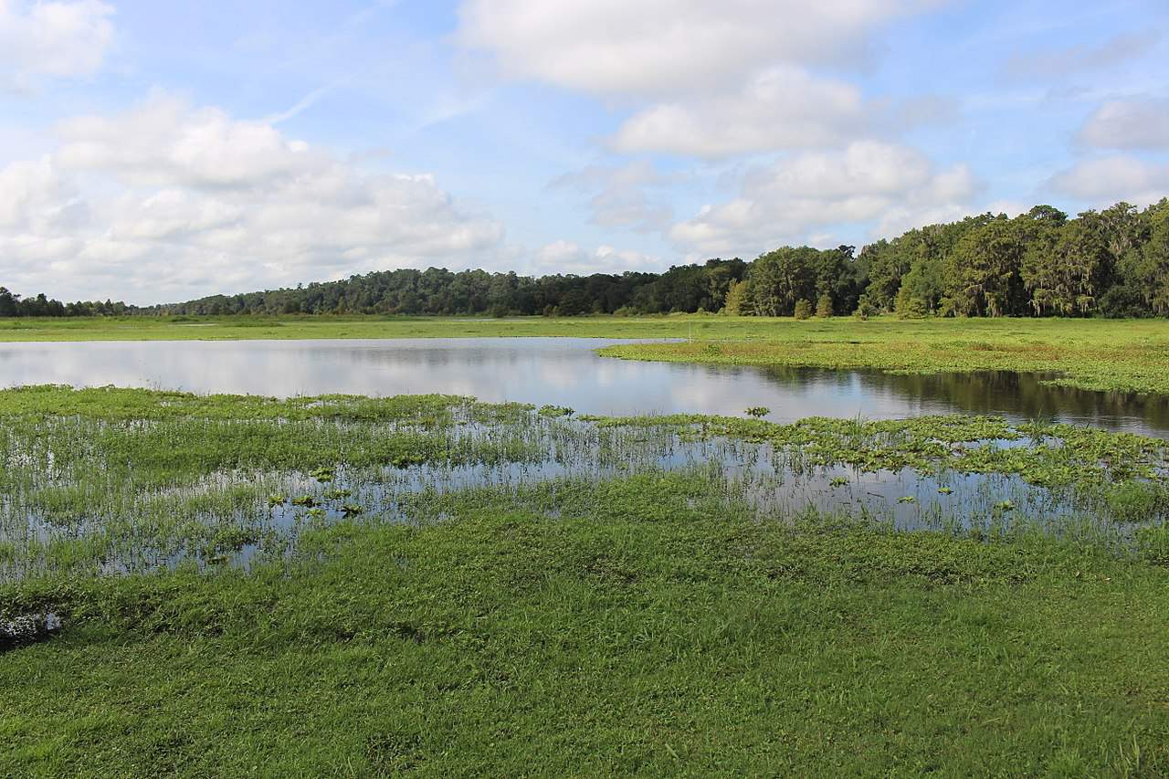 10 montagne in Florida