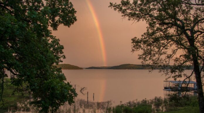 I 10 migliori luoghi di pesca in Arkansas quest'estate
