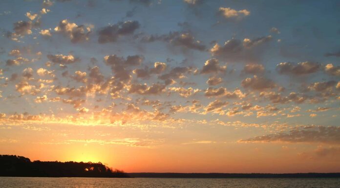 Qual è la contea più grande del Texas e cosa la rende unica?
