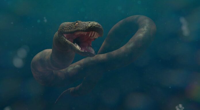 9 Pericolosi animali estinti 
