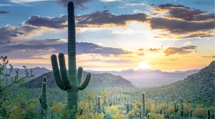 I 4 più grandi deserti del Nord America sono sbalorditivi
