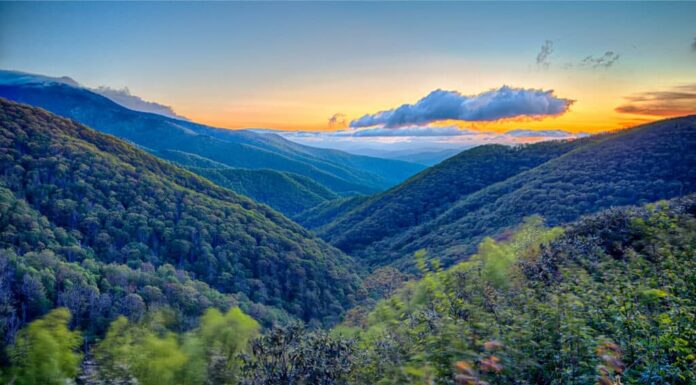 10 serpenti nelle Blue Ridge Mountains
